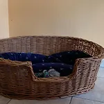 Βίλα House Mayfa Riedseltz