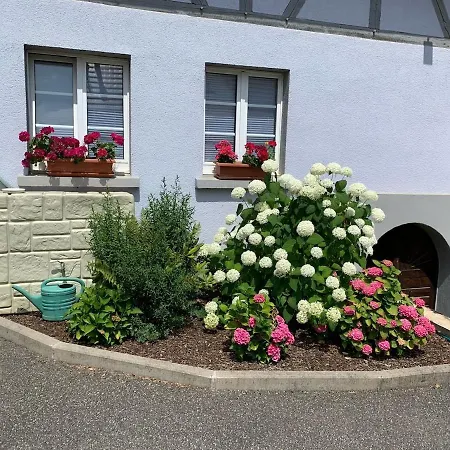 House Mayfa * Riedseltz