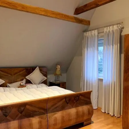 Villa House Mayfa