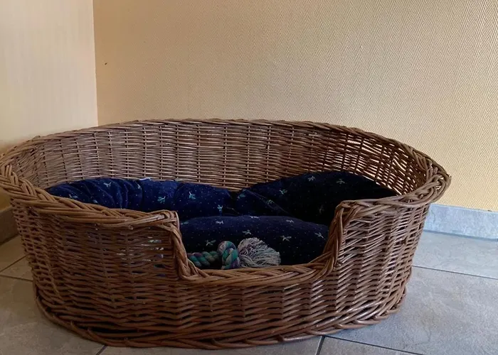 Villa House Mayfa Riedseltz